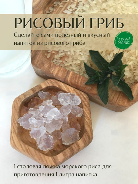 КОМБУЧА Набор для выращивания купить на OZON по низкой цене (1089746268)