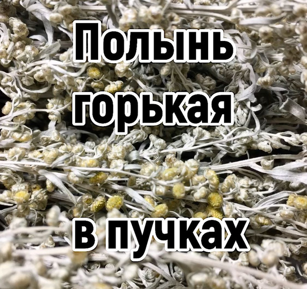 Полынь трава сушёная в пучке. - купить с доставкой по выгодным ценам в ...