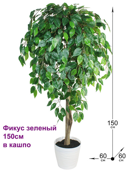 Купить Искусственное растение Фикус зеленый 150см в кашпо, ФитоПарк по ...