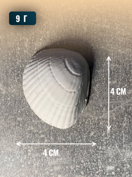 Минеральный камень для сухопутных черепах - купить с доставкой по ...
