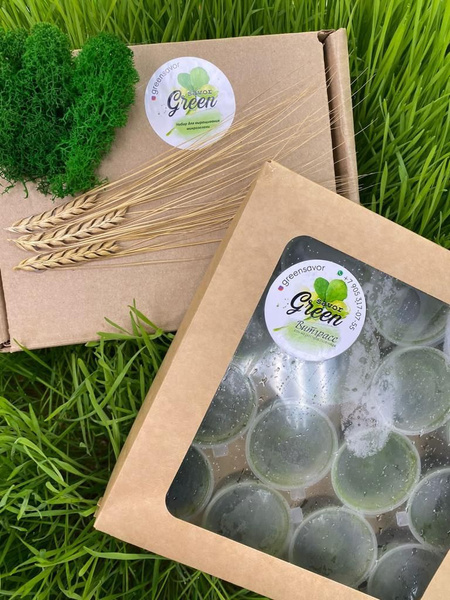 Витграсс Сок 30 дней Wheatgrass Green Savor 30 порций по 30 мл - купить ...