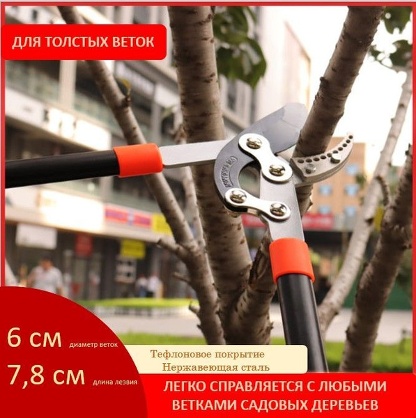 Сучкорез Сучкорез_секатор - купить по выгодным ценам в интернет ...