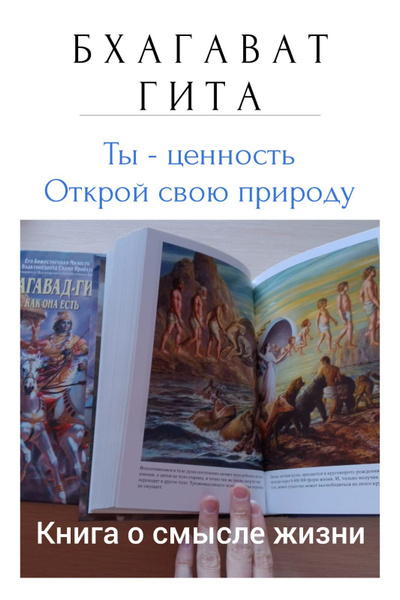 Бхагават-Гита как она есть купить на OZON по низкой цене (1170455946)