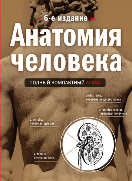 Анатомия человека: полный компактный атлас. 6-е издание - купить с ...