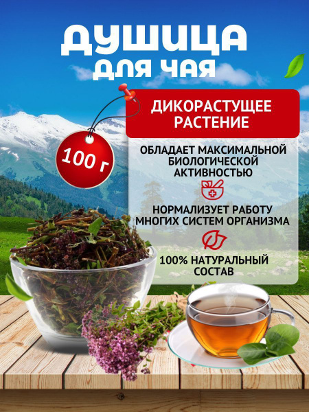 Душица Орегано трава сушеная для полезного чая - купить с доставкой по ...