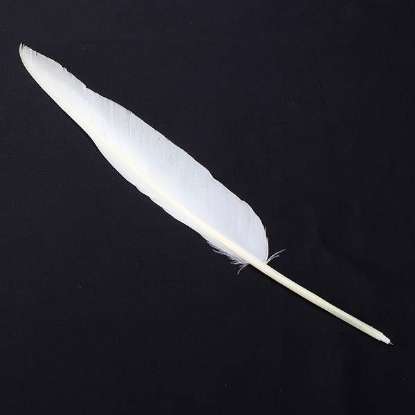 Ручка-перо со стержнем - купить с доставкой по выгодным ценам в ...