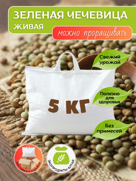 Зеленая чечевица 5 кг, чечевичная цельная крупа для проращивания ...