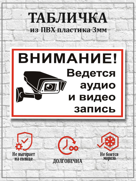 Табличка "Внимание! Ведется аудио и видео запись" №9 - 30х21 см., 30 см ...