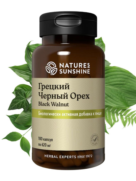 Грецкий Черный орех НСП / Black Walnut NSP / 100 капсул по 620 мг ...