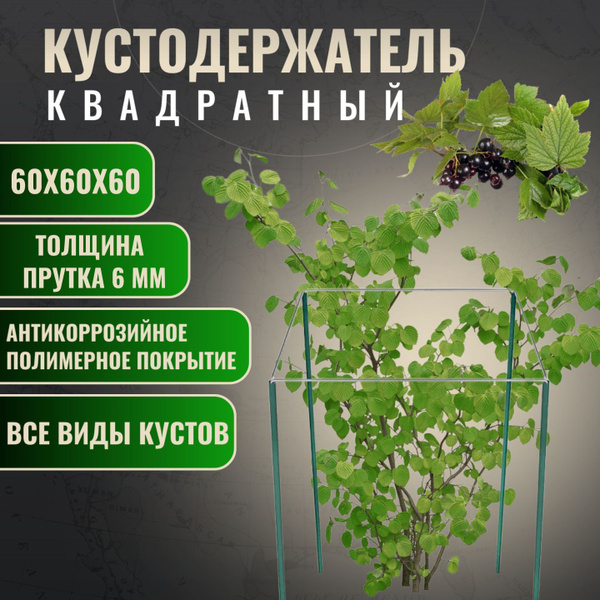 Кустодержатель стальной - купить по выгодной цене в интернет-магазине ...