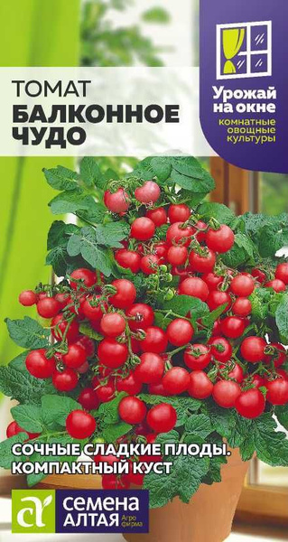 Семена Алтая Томаты - купить по выгодным ценам в интернет-магазине OZON ...