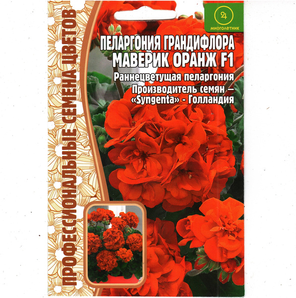 Пеларгонии (Герань) Григорьев комнатные - купить по выгодным ценам в ...