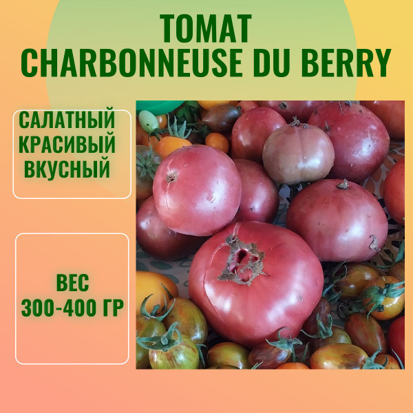 Томаты томатов_Шарбоньез дю Берри (Charbonneuse du Berry) - купить по ...