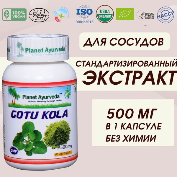 Готу кола экстракт Gotu kola, витамины для памяти и мозга, 60 капсул ...