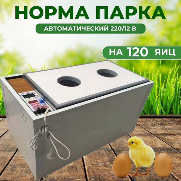 Инкубатор для яиц Норма Парка на 120 яиц (220/12В) - купить с доставкой ...