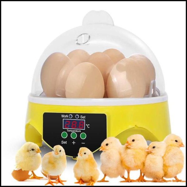 HHD Mini 7 Инкубатор для яиц Ферма Брудер Инкубаторий для птицы Машина ...