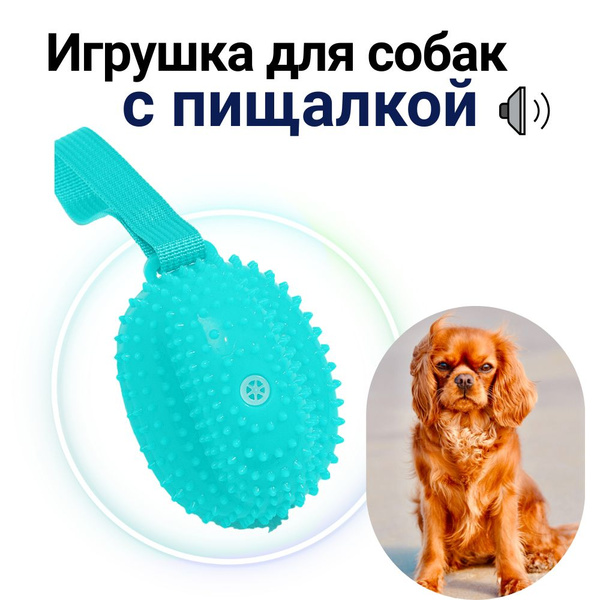 Игрушка пищалка для собак с ремешком - купить с доставкой по выгодным ...
