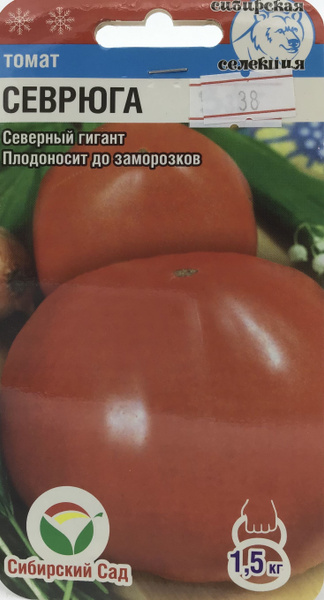 Сибирский сад Томат Севрюга - купить по выгодным ценам в интернет ...