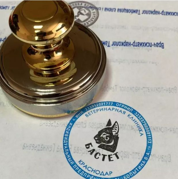 Печать Магнитный Ферзь. Красконаполненная флеш печать с цветным ...