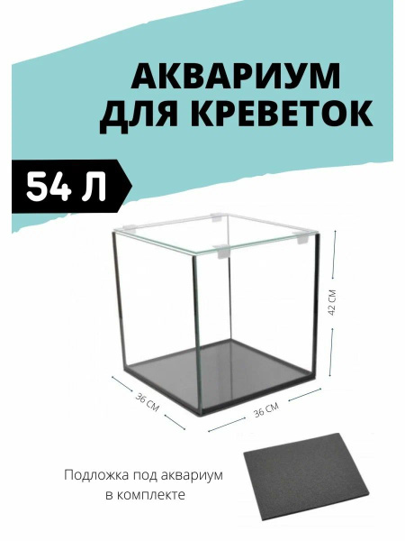 Аквариум для креветок Креветкарий 54 литра - купить с доставкой по ...