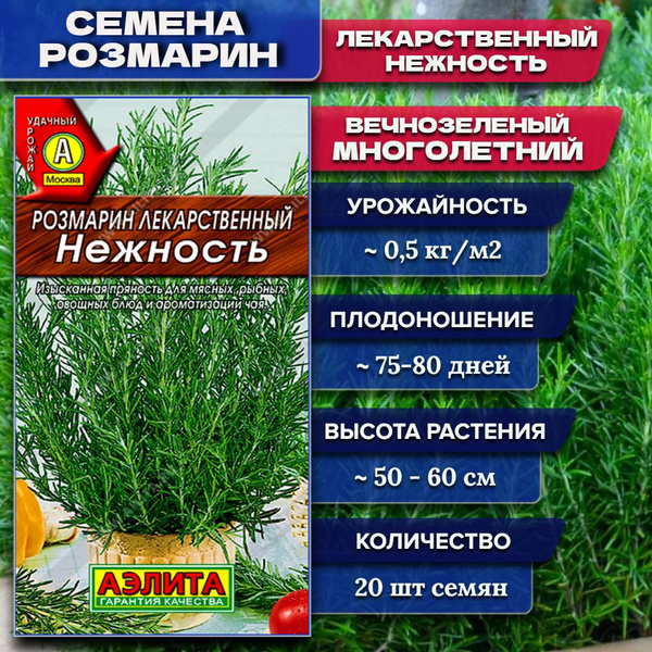 Пряные травы Аэлита Розмарин_Нежность - купить по выгодным ценам в ...