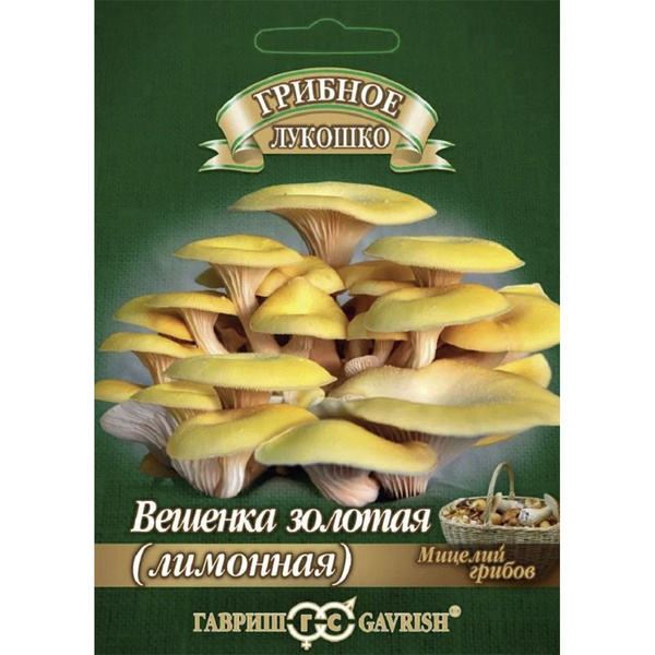 Мицелий Вешенка золотая Лимонная на древесной палочке 12 шт. - купить ...