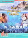 Как растут камни - Морозова Ирина