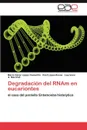 Degradacion del Rnam En Eucariontes - Mario C. L. Pez Camarillo, Itzel L. Pez-Rosas, Laurence A. Marchat