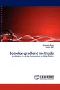 Sobolev Gradient Methods - Nauman Raza, Sultan Sial