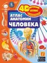 Атлас анатомии человека - Спектор Анна Артуровна