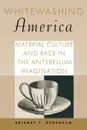 Whitewashing America. Material Culture and Race in the Antebellum Imagination - Bridget T. Heneghan