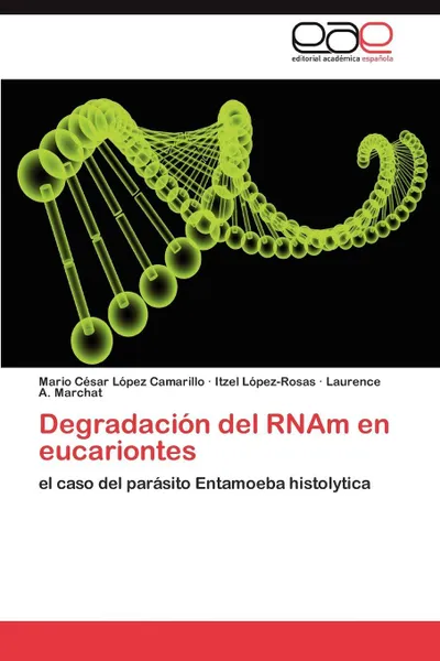 Обложка книги Degradacion del Rnam En Eucariontes, Mario C. L. Pez Camarillo, Itzel L. Pez-Rosas, Laurence A. Marchat