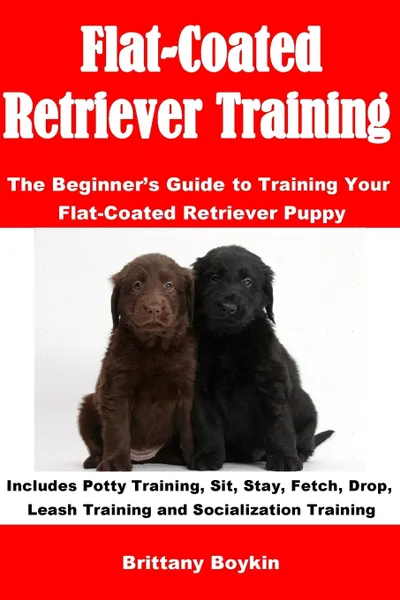 Обложка книги Flat-Coated Retriever Training. The Beginner's Guide to Training Your Flat-Coated Retriever Puppy: Includes Potty Training, Sit, Stay, Fetch, Drop, Leash Training and Socialization Training, Brittany Boykin