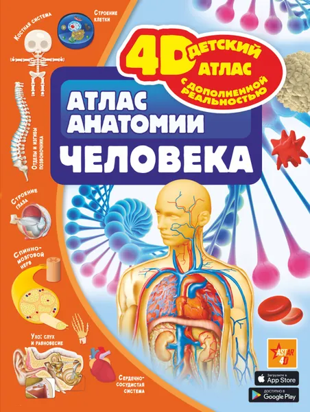 Обложка книги Атлас анатомии человека, Спектор Анна Артуровна