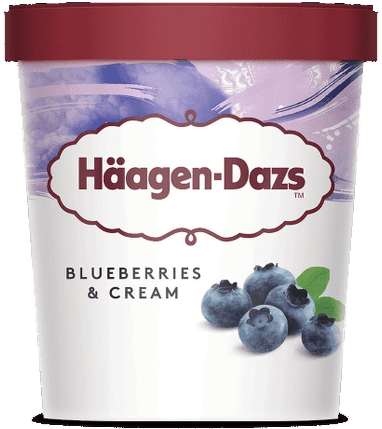 Мороженое Haagen-Dazs Пломбир Черничное с голубикой, 400 г — купить в ...