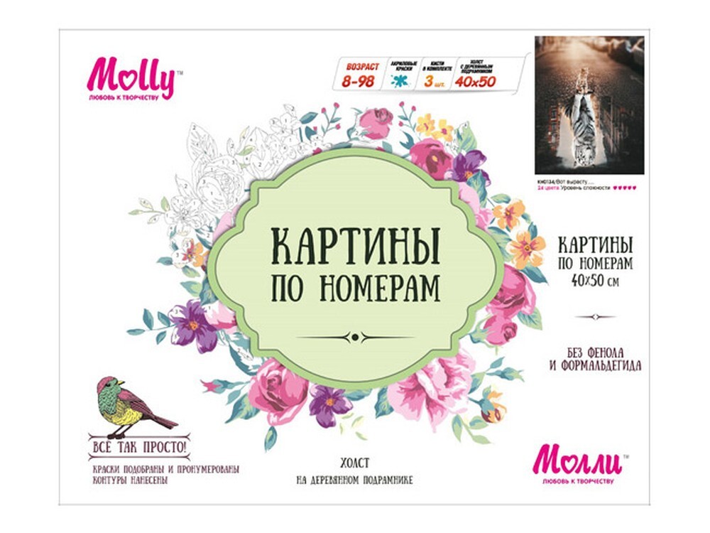 Molly картины по номерам