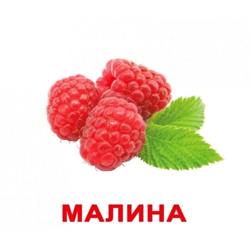 Карточки Домана малина