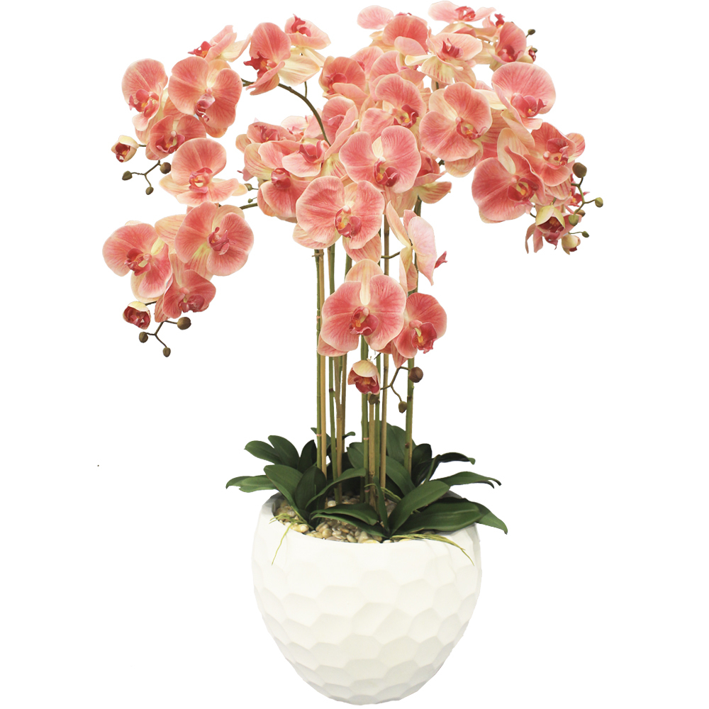 7 орхидей. Фаленопсис в керамике. Керамика для орхидей.