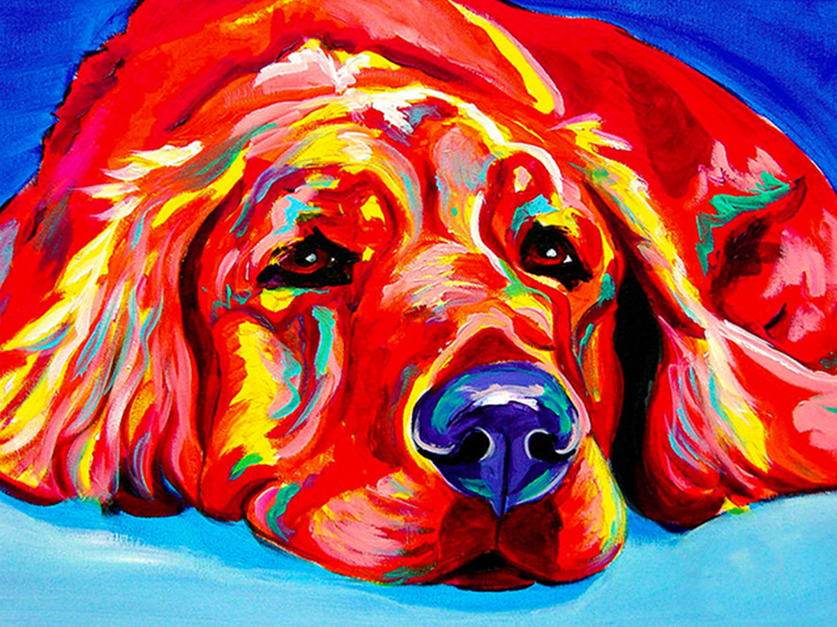 Собака красками живопись