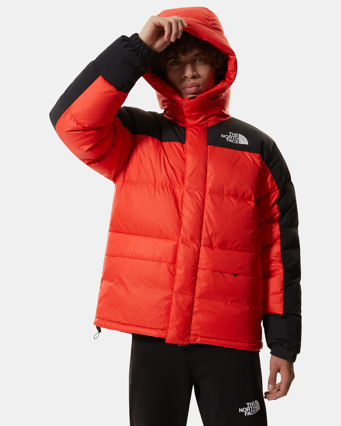 the north face menlo insulated parka