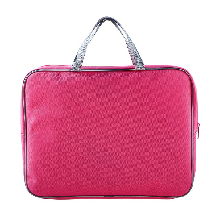 Арочный металлодетектор ceia classic. Сумка папка розовая. Папка а4 с ручками русалки. Школьные папки с дельфинами. Пмд-6.