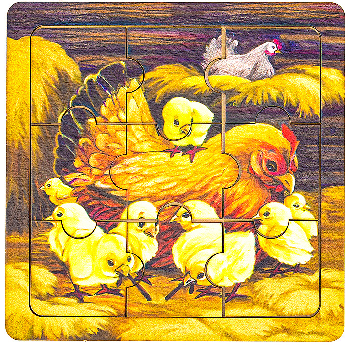 Хайсекс белые куры. В гостях у курицы. В гостях у курицы. В гостях у курицы. Куры клюют зерно.