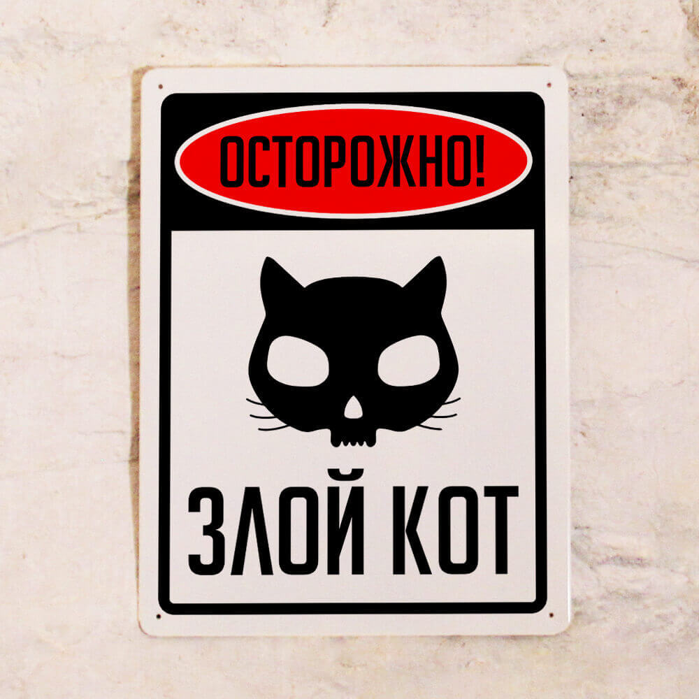Осторожно злая кошка картинки