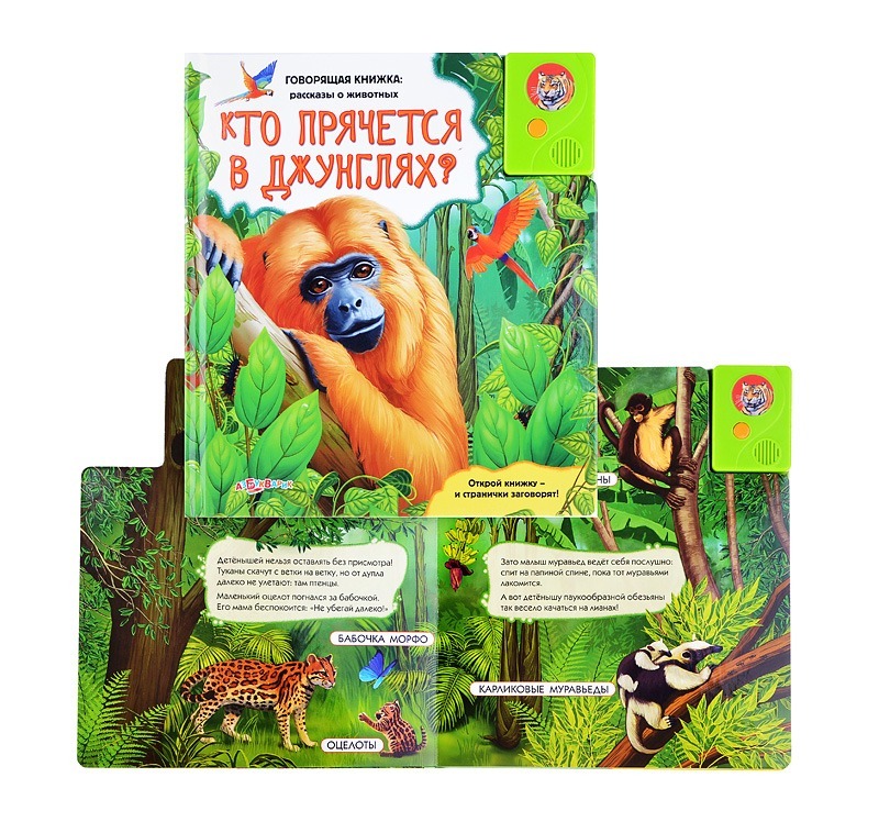 Недостатки проекта говорящая книга