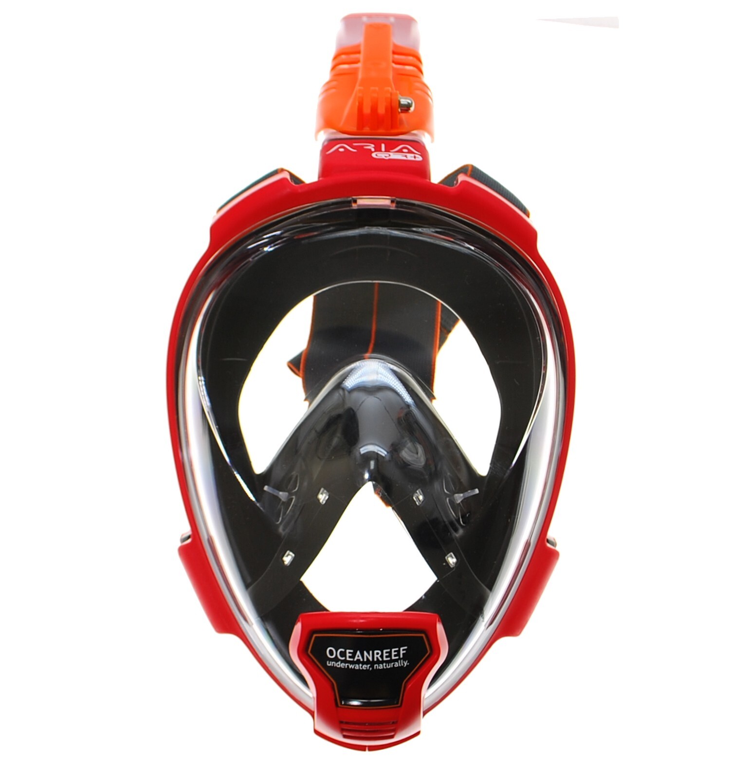 Как попасть на риф маска. Tusa sport um8001. маска ocean reef aria qr розовый. ocean reef aria.