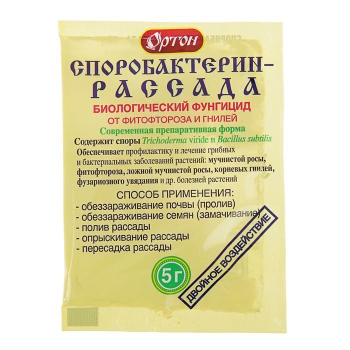 Метро Магазин Рассада