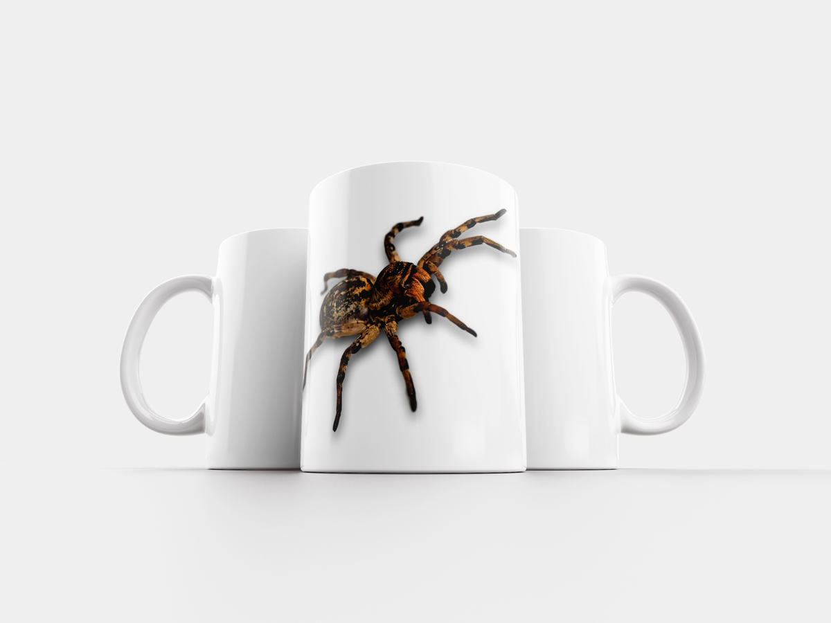 Пауков и жуков 8 штук. Паук в кружке. Кружка с пауком внутри. Кружка с пауком на дне. Чашка с пауком внутри.
