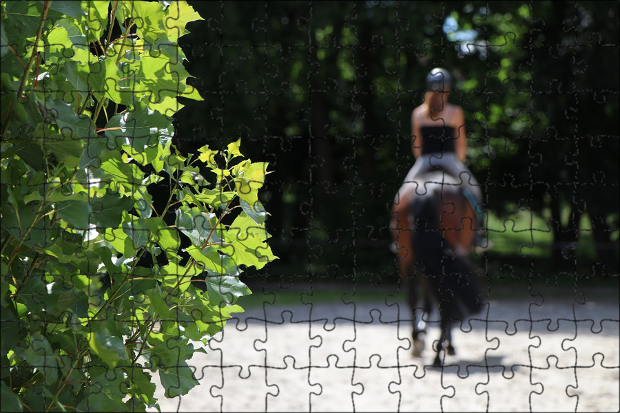 Уральская резьба по камню. Камни лошади женщины. Таквини каменные лошади. Лошадь из камня. Дама на коне.