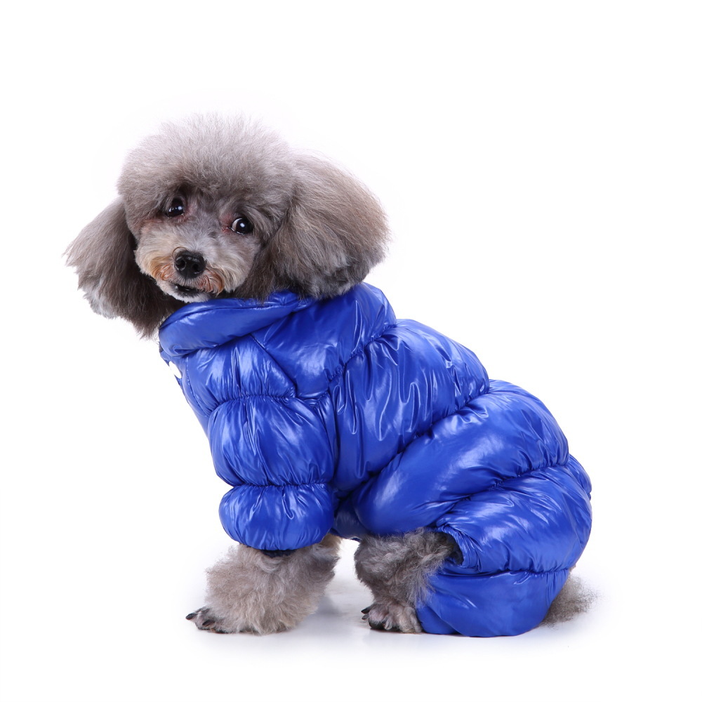 Комбинезоны для мелких пород. Arnydog одежда для собак. Комбинезон Arnydog b022 Blue XL. Комбинезон для собак. Зимний комбез для собаки.