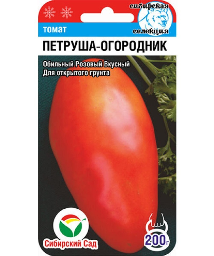 Сорт томата огородник фото и описание